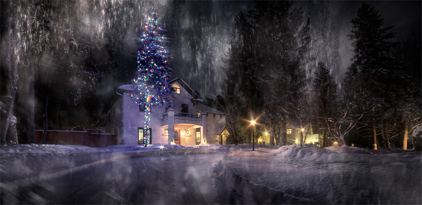 fluffy white dressed up for Xmas