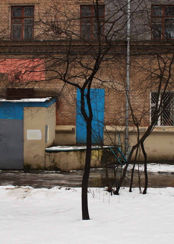 Про задний двор