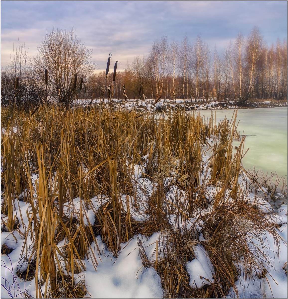 Декабрьское утро