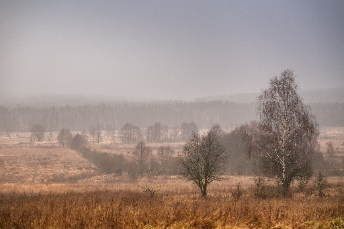 59 Ноября или 62 часа до Нового Года