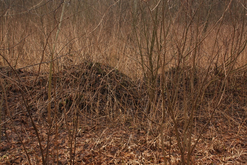 Доброе утро, новый 2014