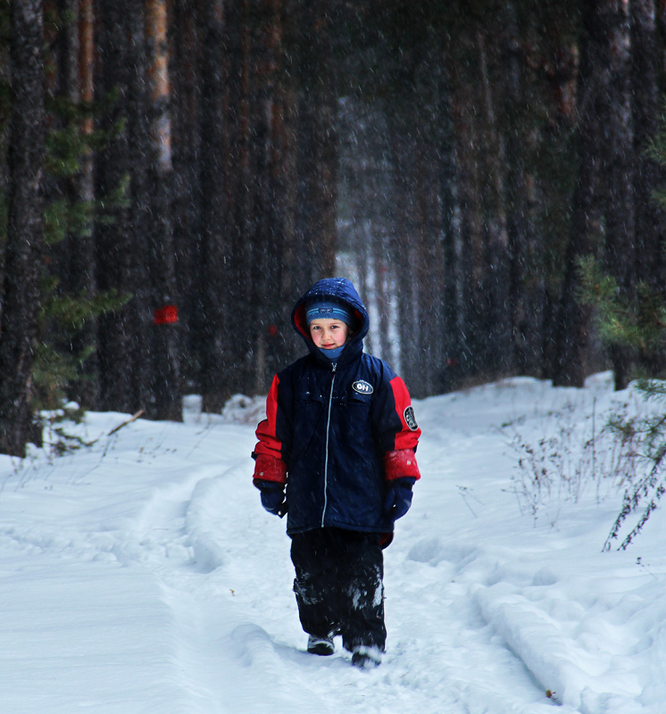 Сказочный лес