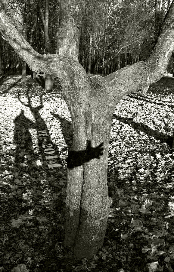 коснуться недостижимого..