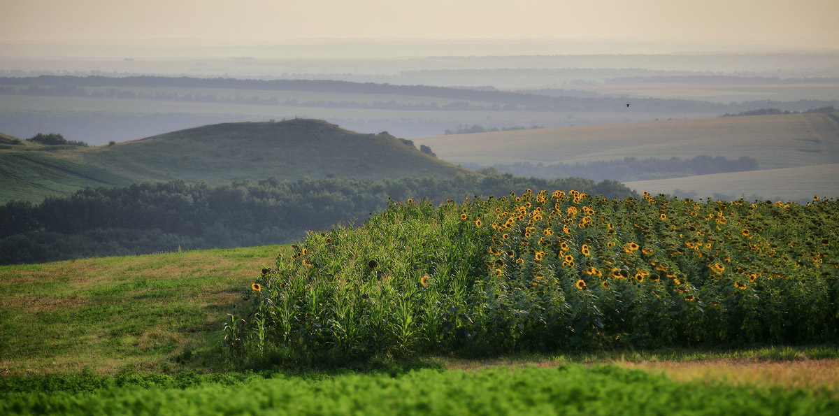 Летне-подольские зарисовки