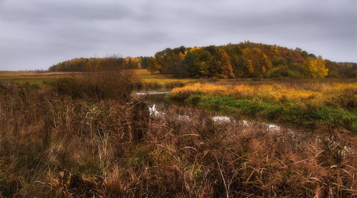 Осенние зарисовки