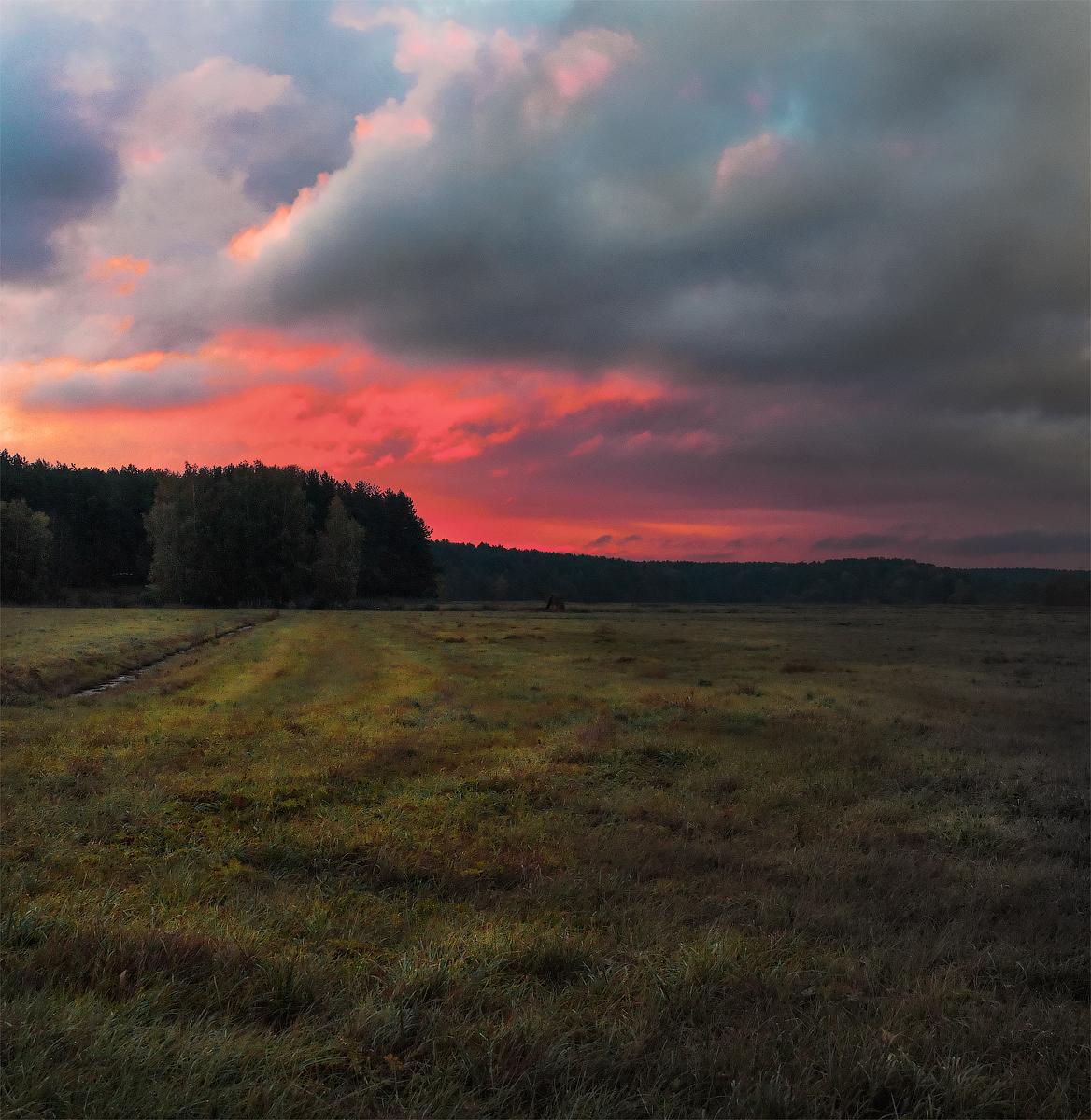 Багряный рассвет