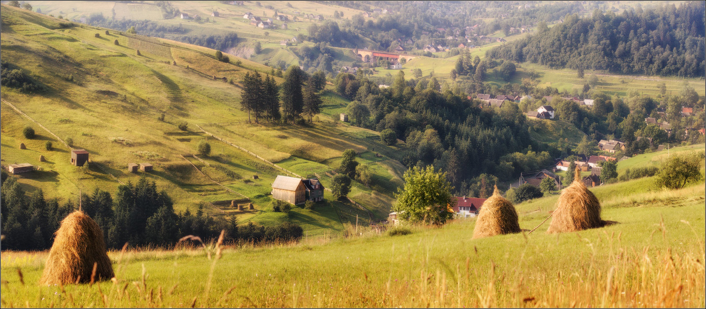 / Лето в Ясинях /