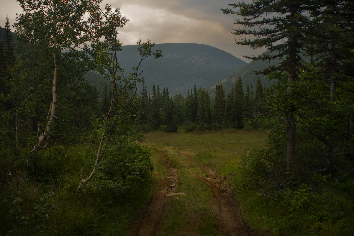 перед дождём