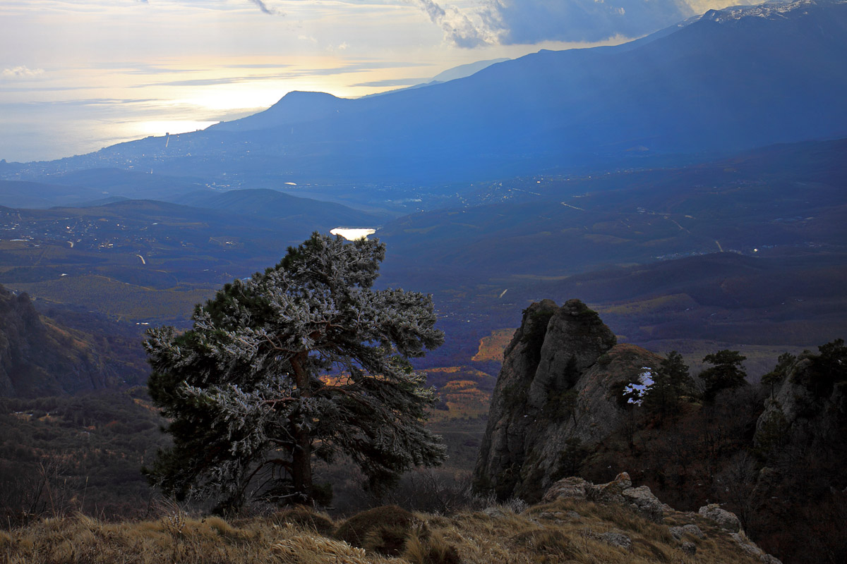 январский ЮБК