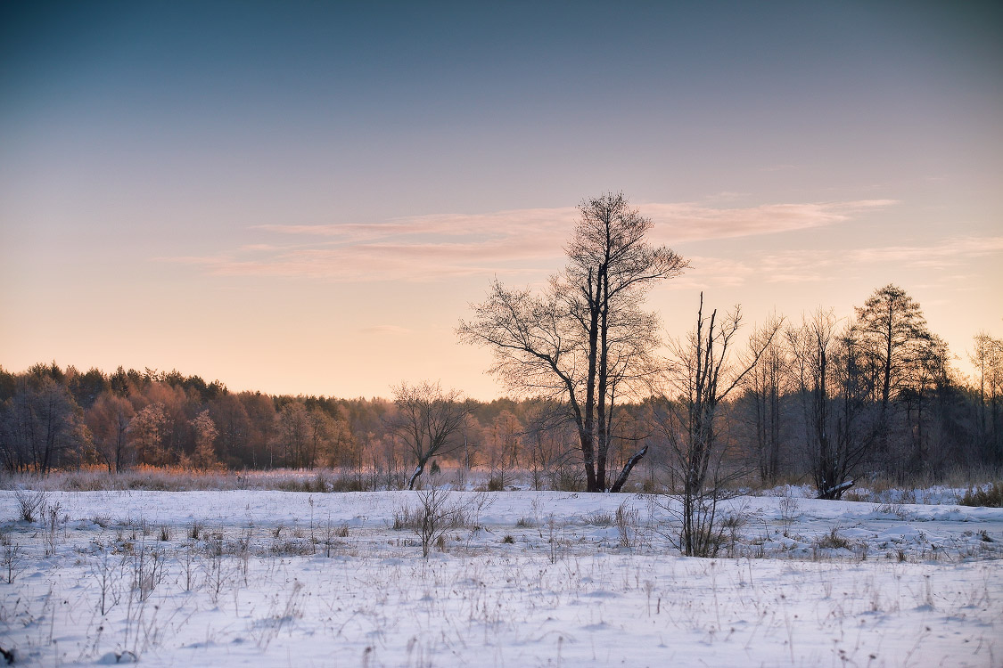 Зимнее утро на Суле
