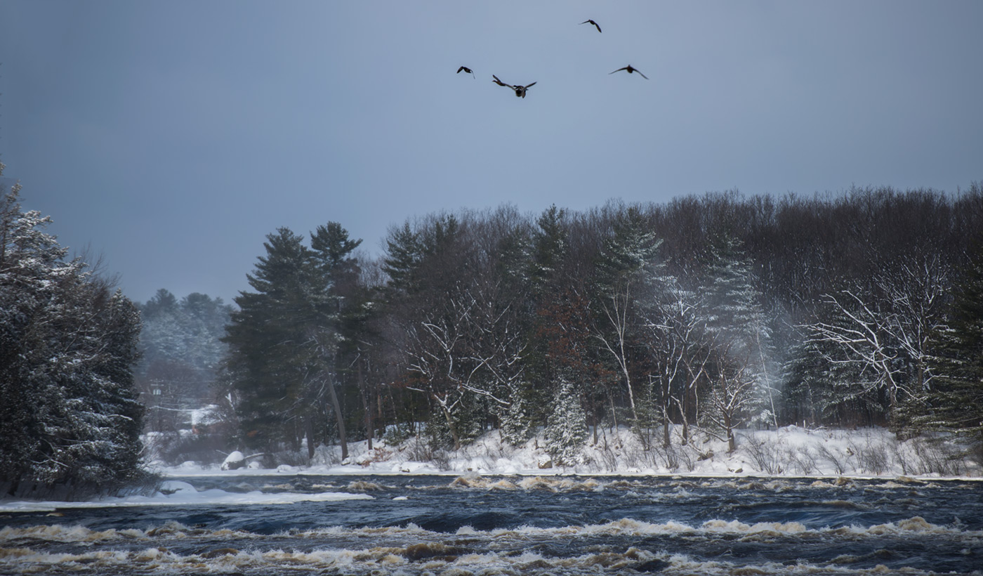 cold air under the wing