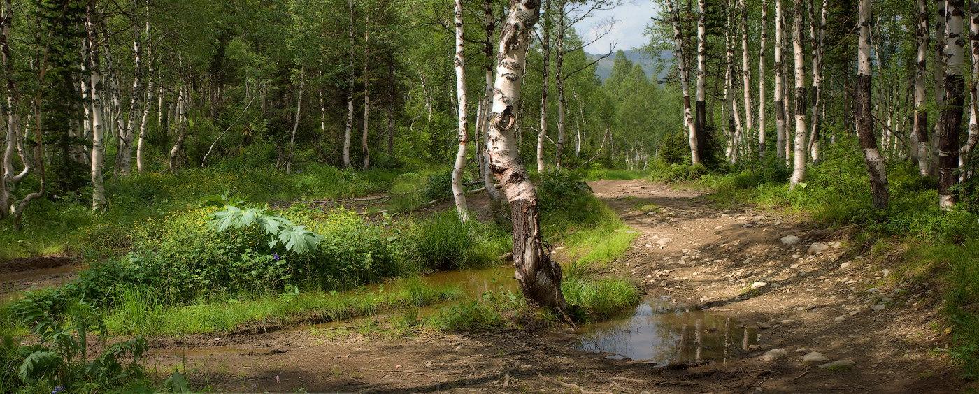 Ивановские дороги