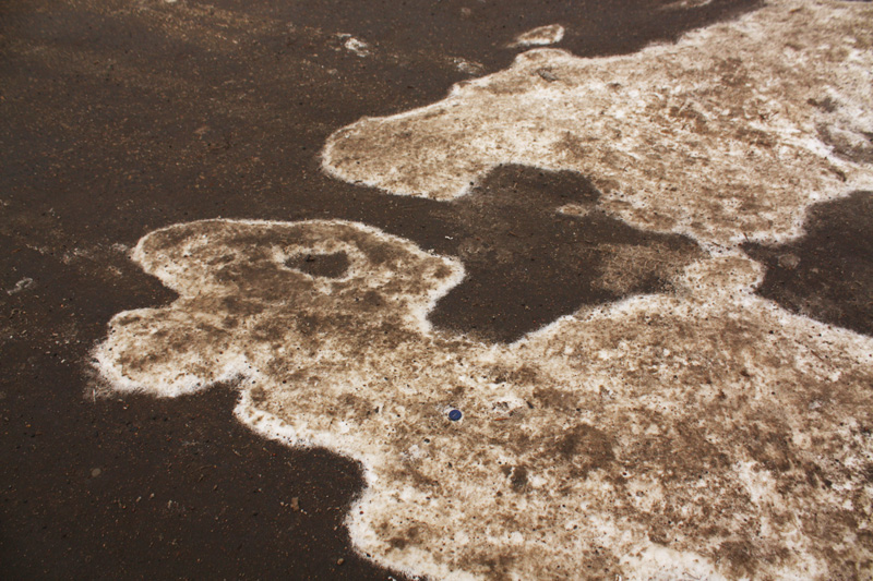 Минский зоопарк