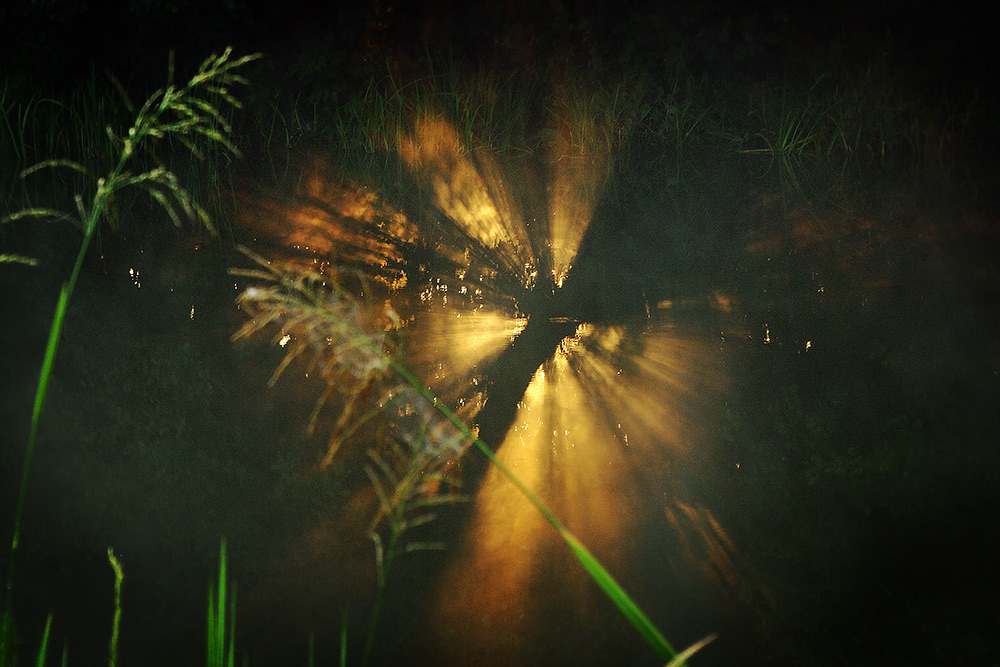 глаз Рассвета..