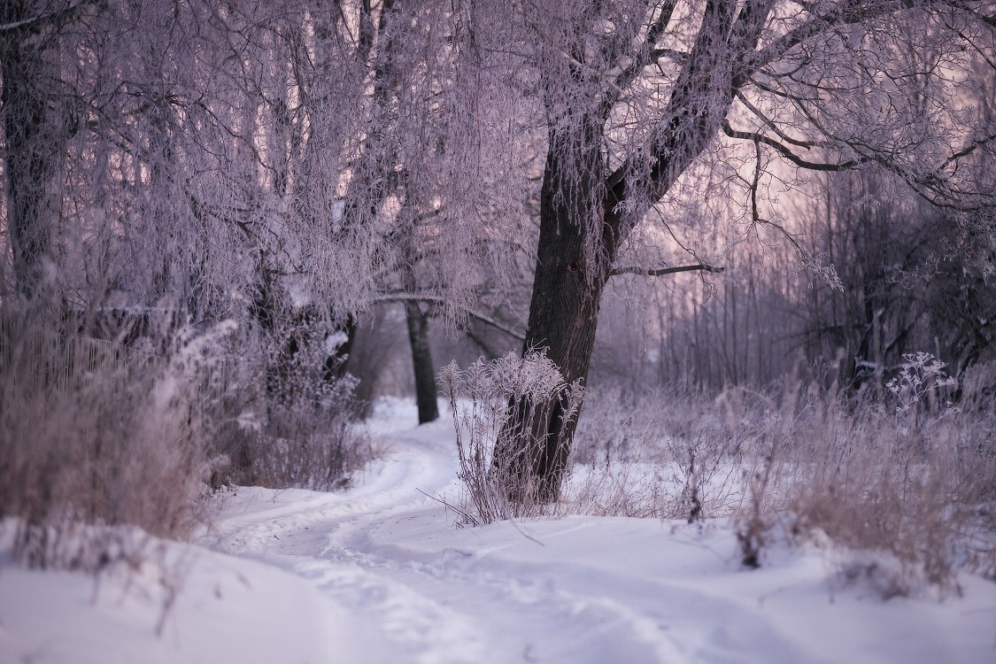 Зимние открытки