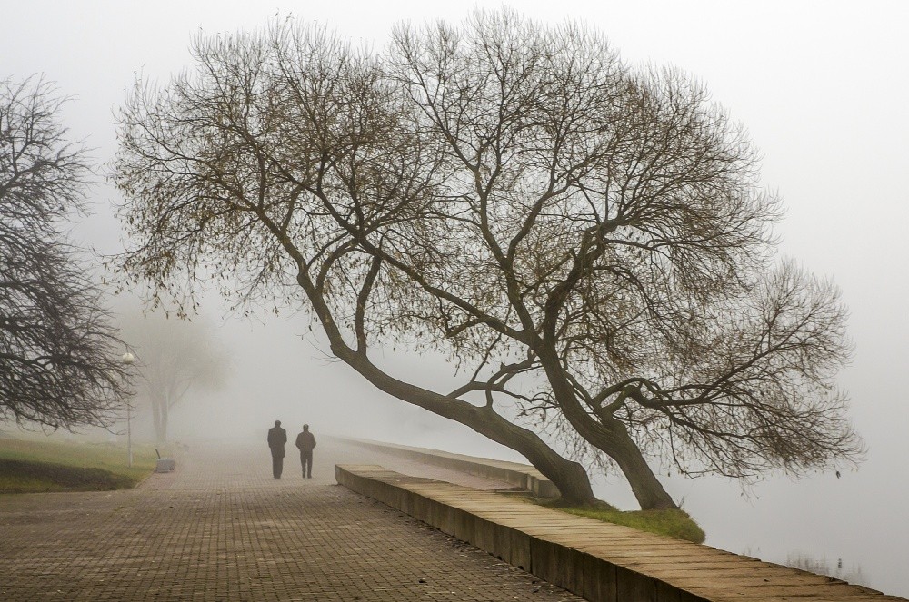 Двое в тумане