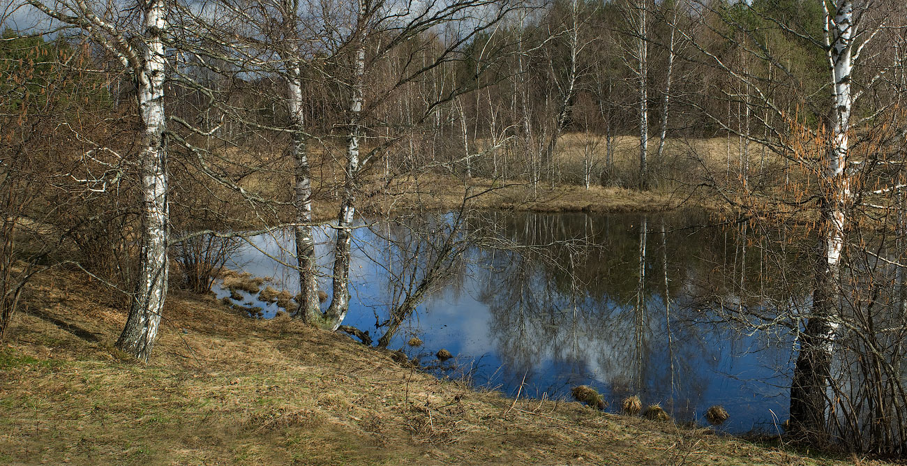 Весеннее настроение