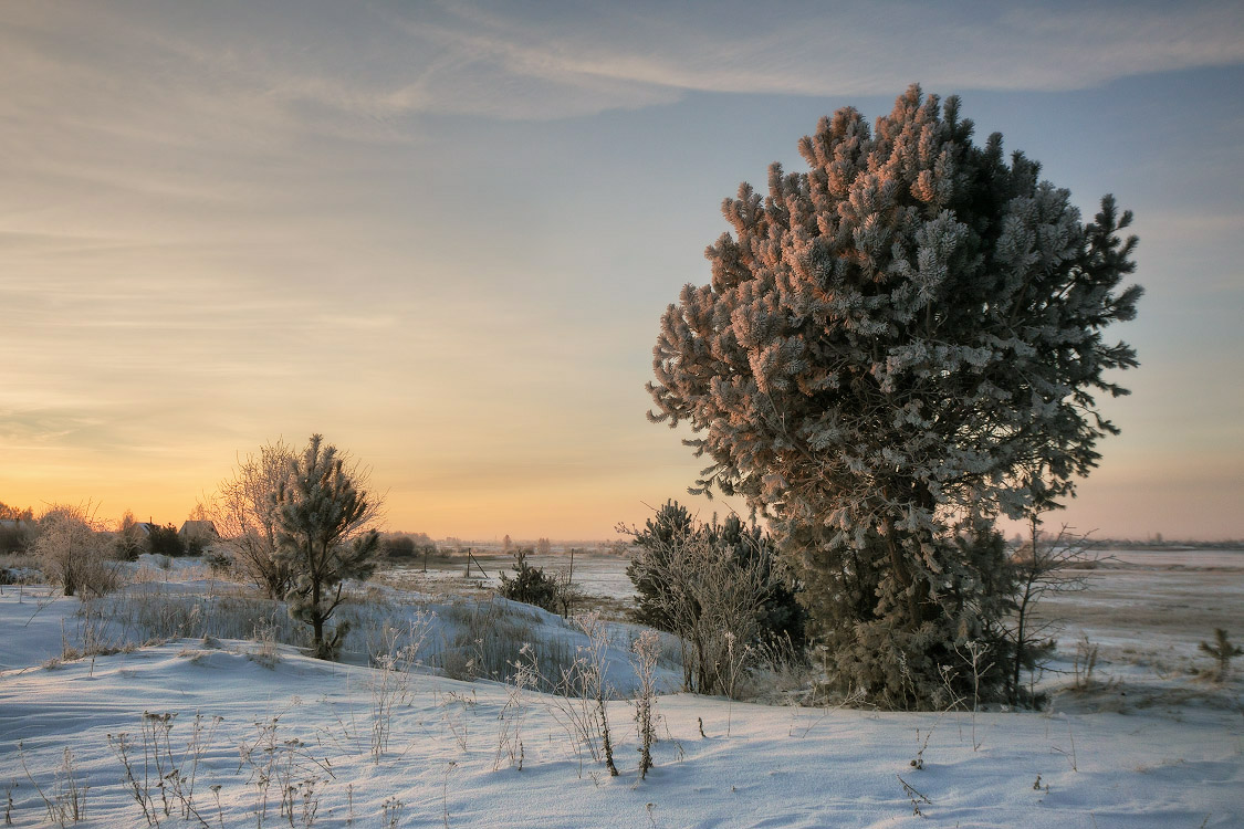 Зимняя утренняя