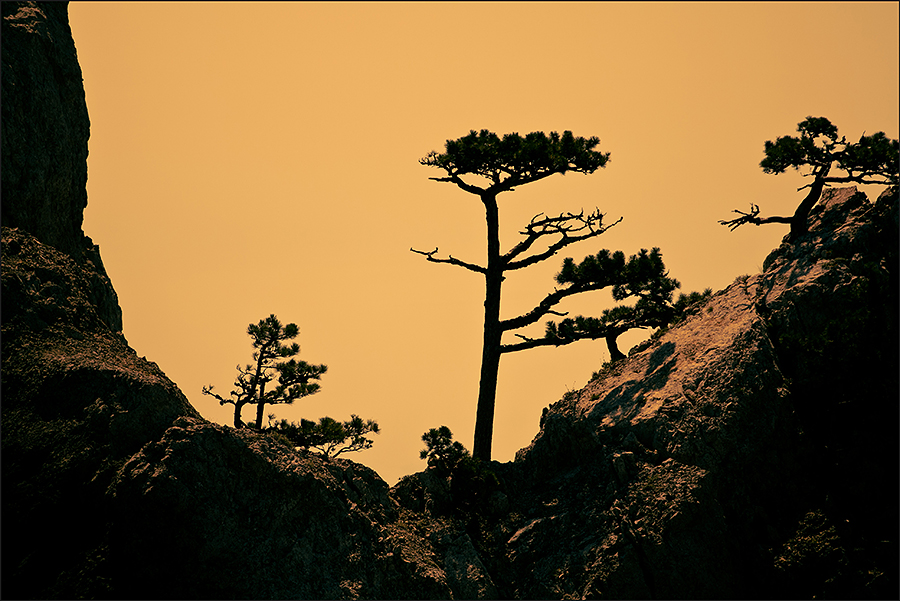 Про Ай-Петри