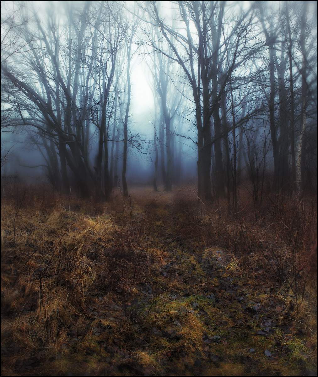 Краски ненастного утра