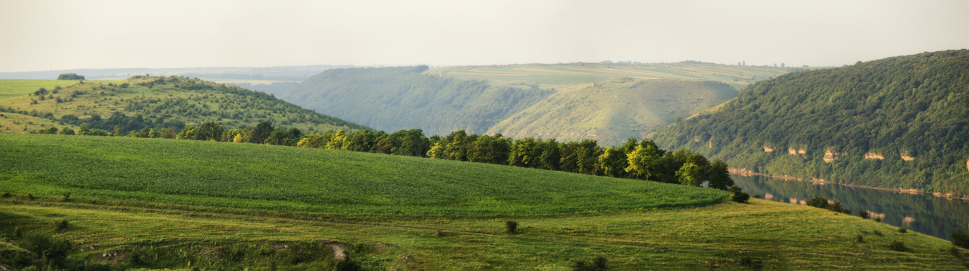 Летним утром на Подолье