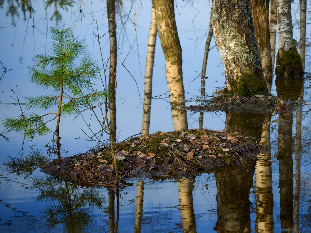 весенние мотивы