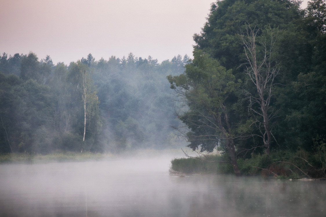 Летний Туман