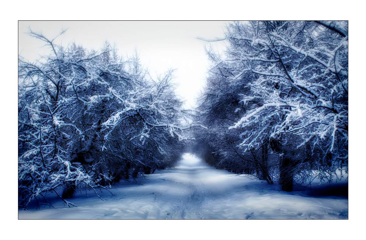 Зимние зарисовки