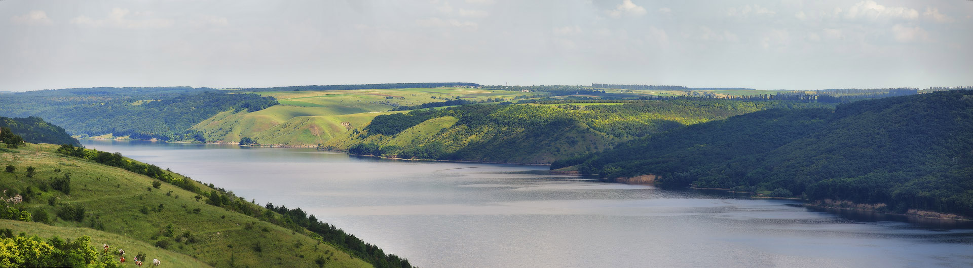 Летний Днестр