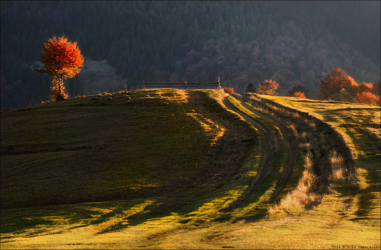 / Осенний этюд /