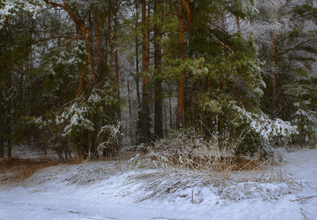 И снова снег