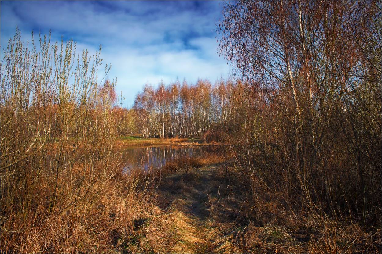 6 Апреля Весне дорогу