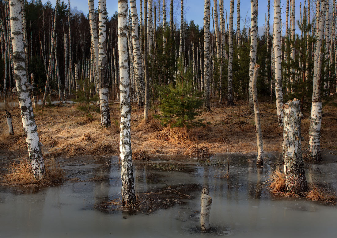 Весенний мотив