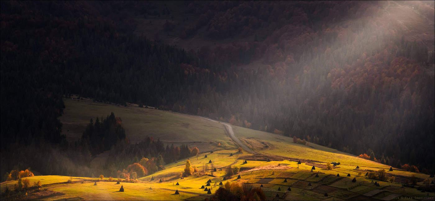 / Поймав последние лучи .... /