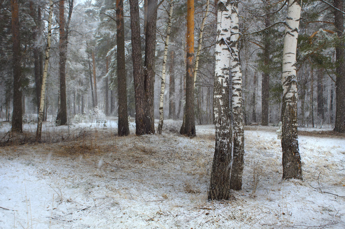 Апрельские мотивы
