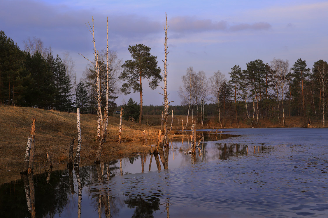 В вечернем свете