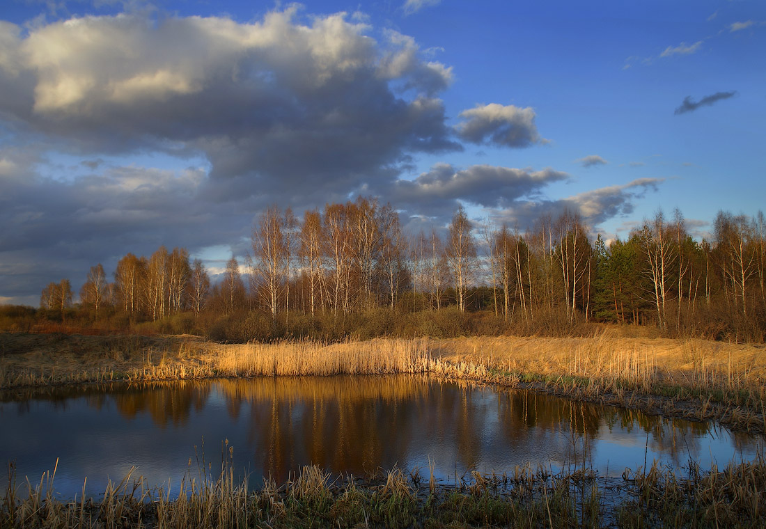 Весенний вечер
