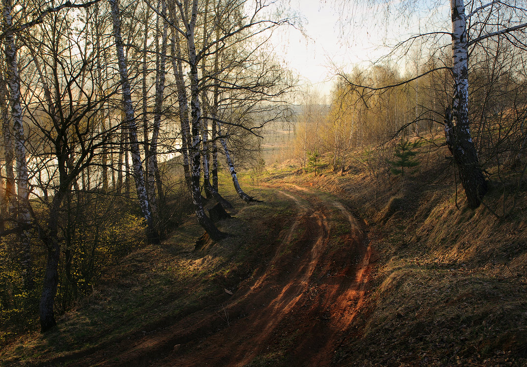 Спускаясь к Клязьме