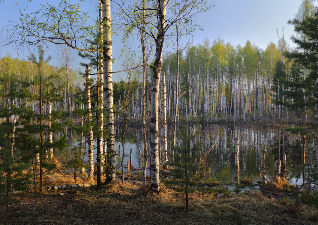 Весеннее настроение