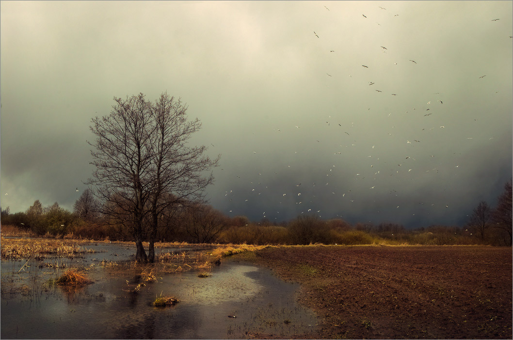 Запах весны