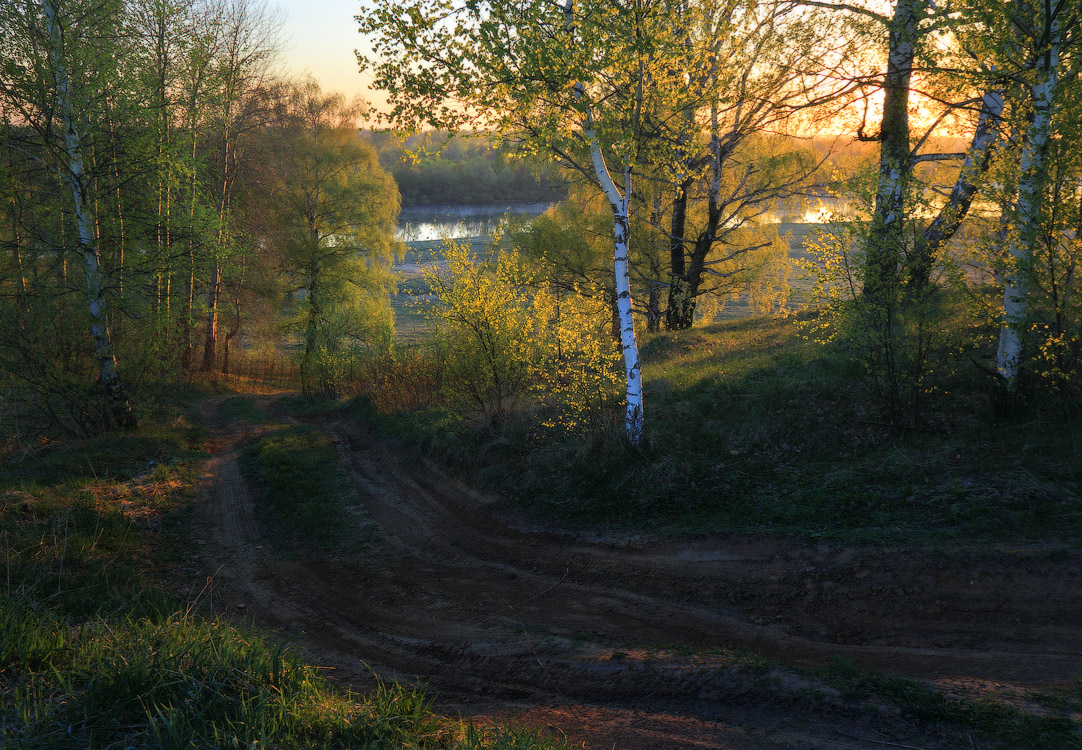 Спускаясь  к Клязьме "2"