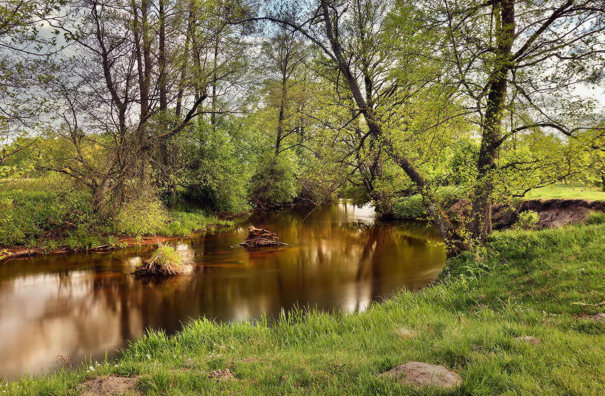 В мае на Суле