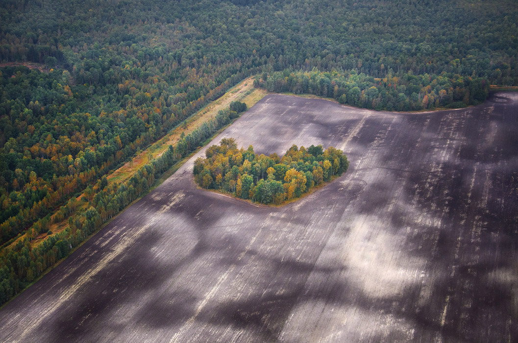 Вечный символ
