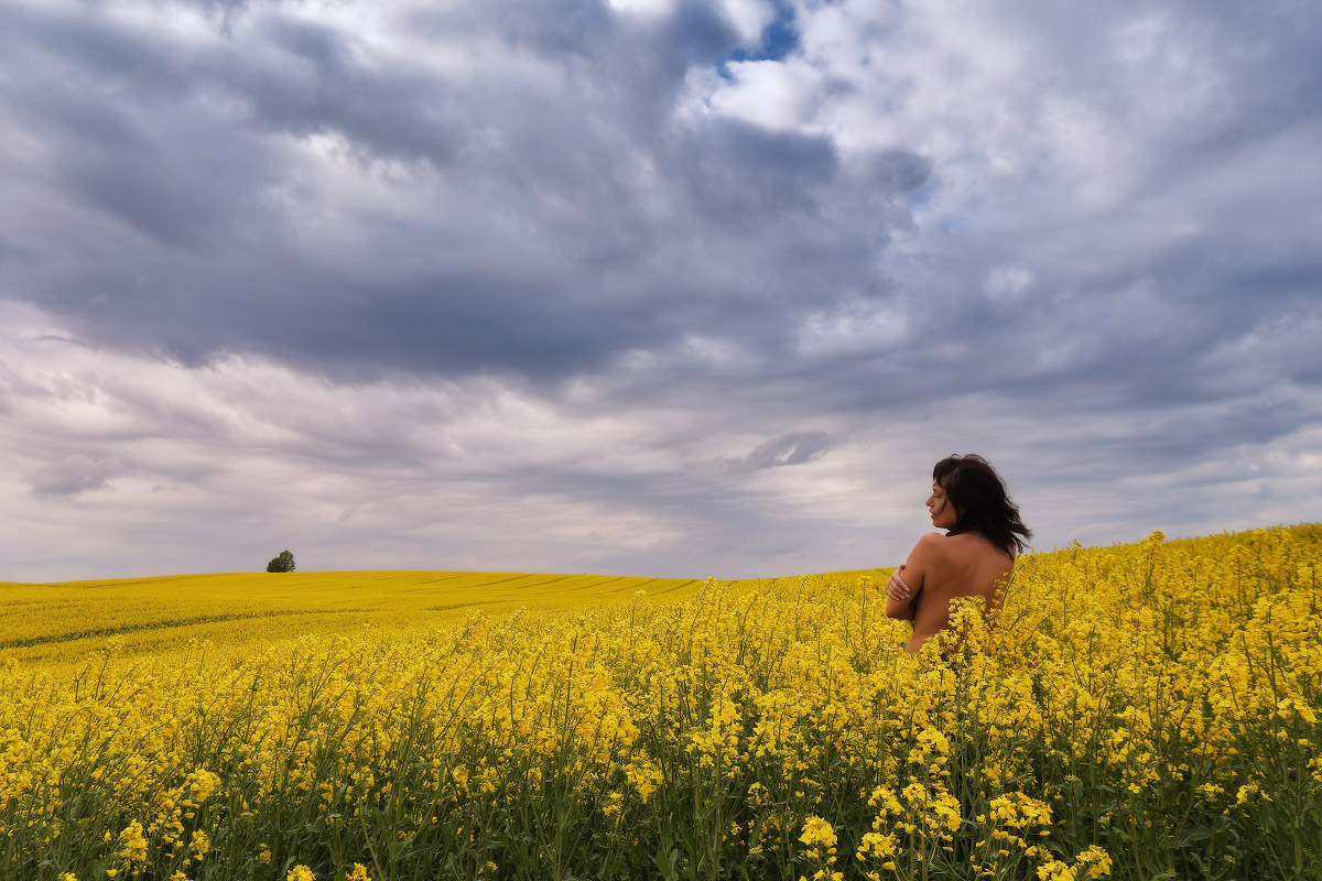 Под майским небом
