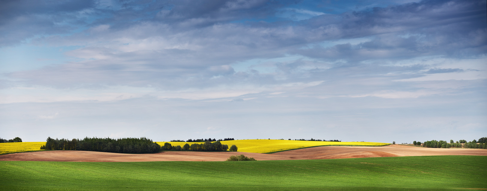 Май под Минском