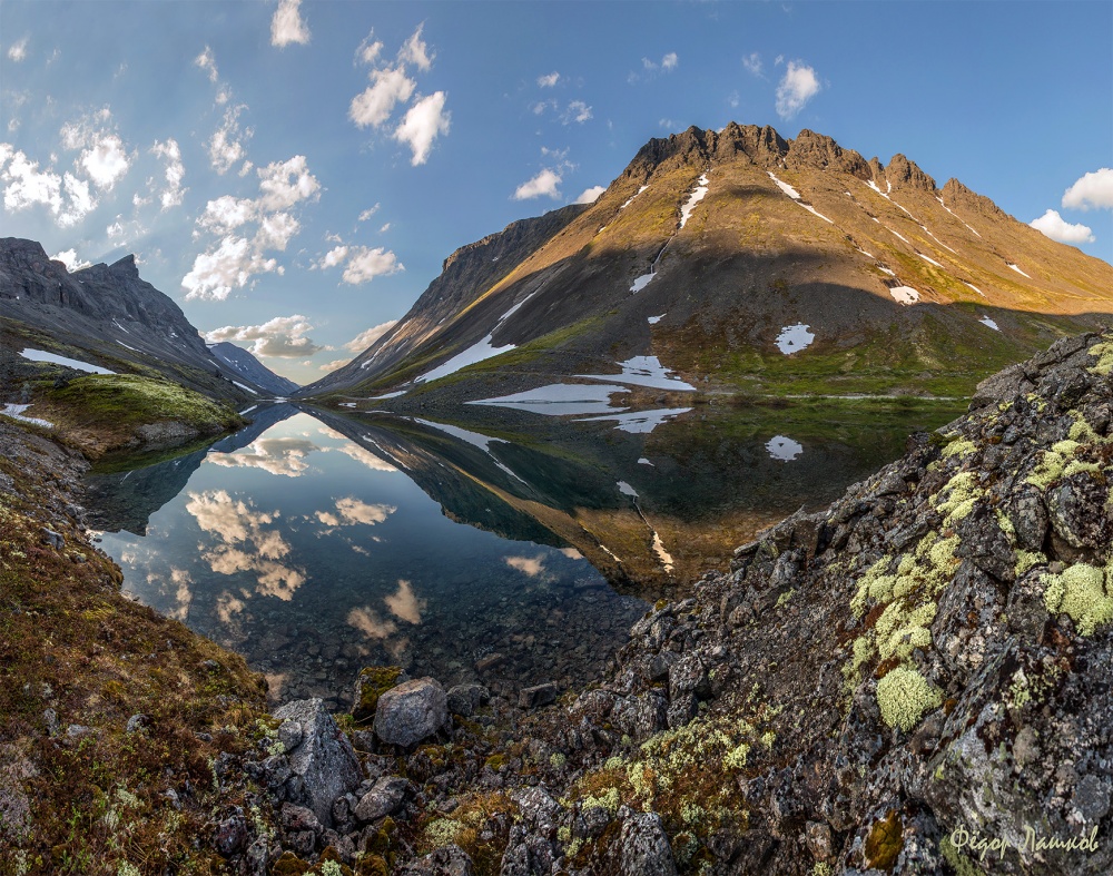 Далматинец.