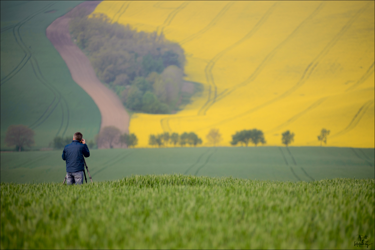 / ПЕЙЗАЖИСТ /