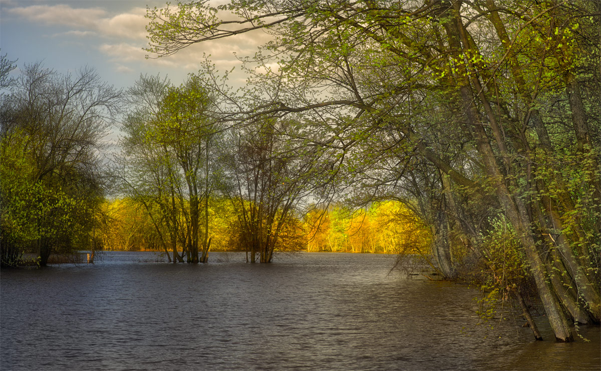 morning @ Petrie Isl.