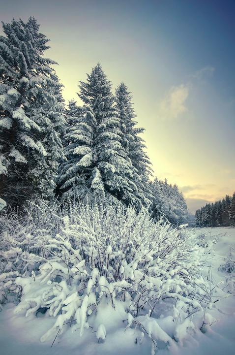 Зимняя прохлада