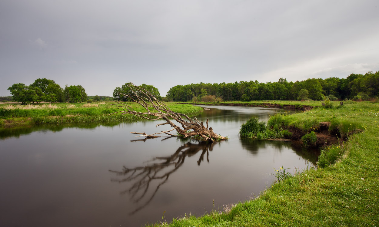 Пасмурный день на Немане